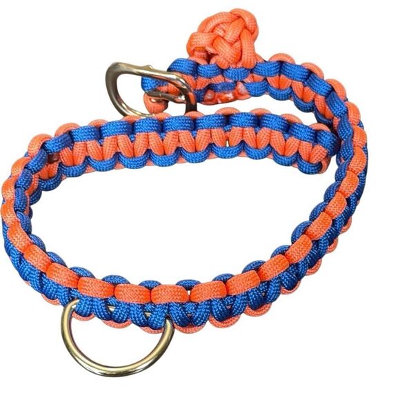 Vibrant Orange and Blue Dog Collar - Picture 6 of 10